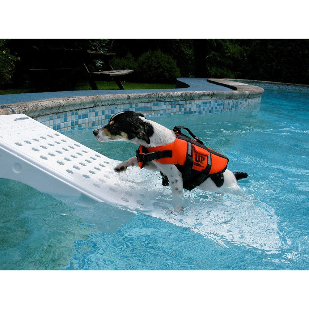 Zwembadtrap voor honden