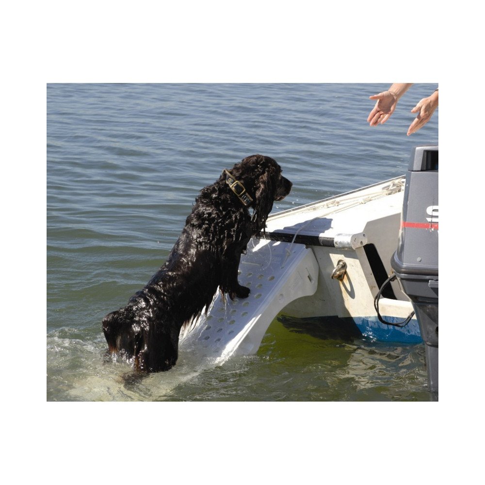 Zwembadtrap voor honden