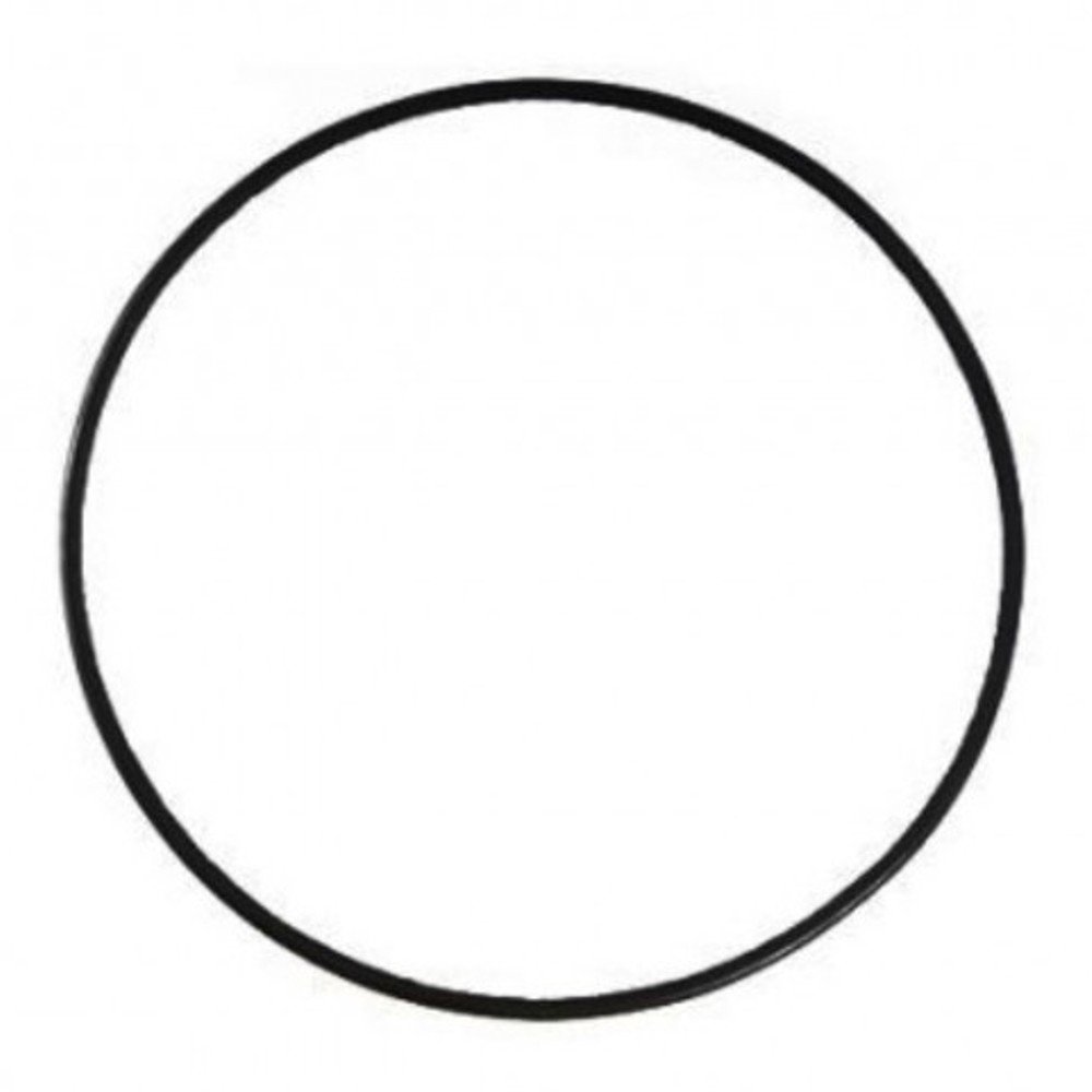 O-ring Pentair RGB10E07 Triton - Tagelus