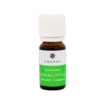 Sauna Eucalyptus fragrance 10 ml - Emendo